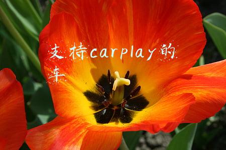 支持carplay的车
