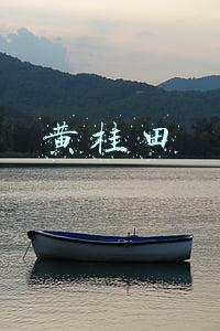 黄桂田