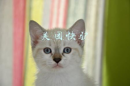 美团快驴
