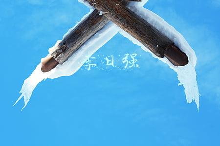 李日强