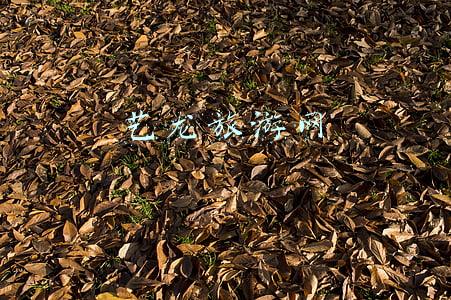 艺龙旅游网官网登录(同程艺龙流量入口整合将给您带来什么)