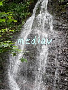 mediav