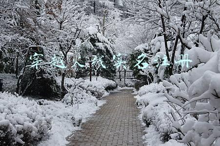 穿越火线实名注册