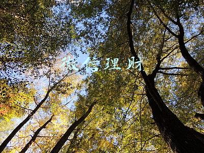 微信理财