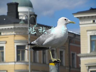 魅族黄章为什么退出(魅族黄章公开退隐原因：身心疲惫)