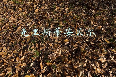 克里斯蒂安贝尔