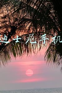 迪士尼手机