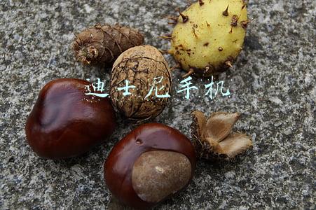 迪士尼手机
