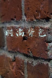 时尚背包