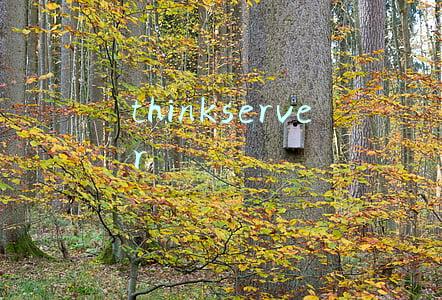 thinkserver