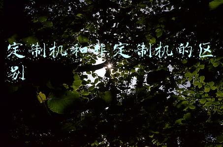 定制机和非定制机的区别