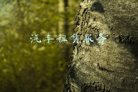 汽车租赁服务