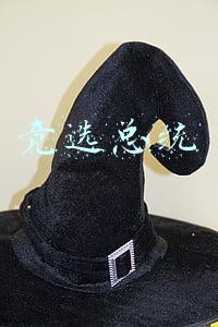 竞选总统