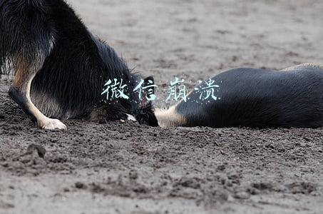 微信崩溃