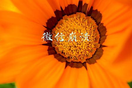微信崩溃