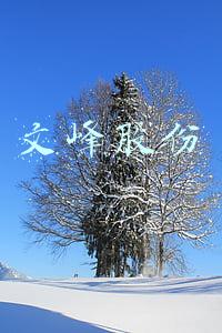 文峰股份徐翔(徐翔出狱后“首胜”？文峰股份终止收购事项，此前遭徐翔反对，背后有何故事？)