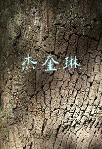 杰奎琳