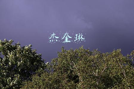 杰奎琳