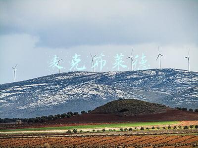 麦克布莱德委员会(《印第安人法》：加拿大对原住民的“合法”掠夺与迫害)