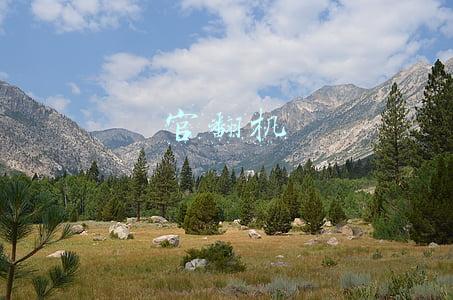 官翻机