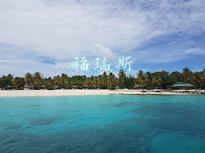 福瑞斯