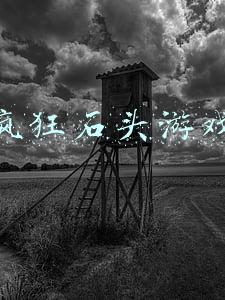 疯狂石头游戏