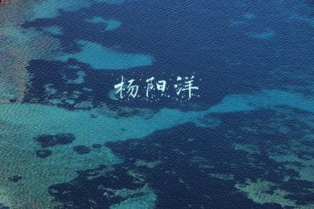 杨阳洋