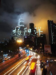 杨阳洋
