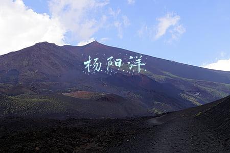 杨阳洋