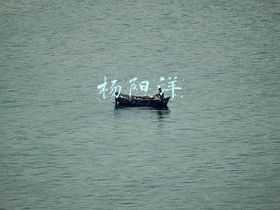杨阳洋