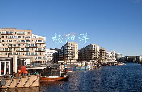 杨阳洋