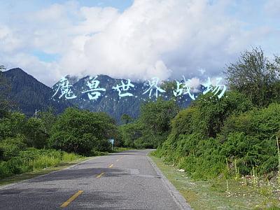 魔兽世界战场