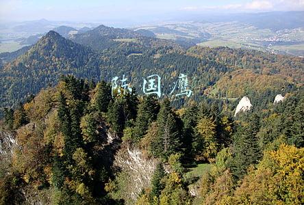 陈国鹰