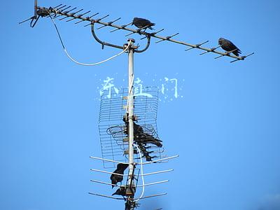 东直门北小街(北京东城北新桥街道东直门北小街3号院及其周边区域解封)