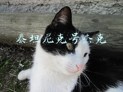 泰坦尼克号杰克