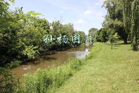 孙杨图片