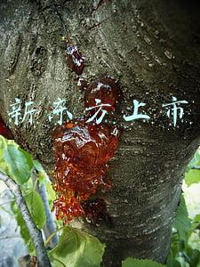 新东方上市