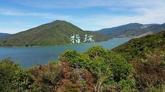 指环