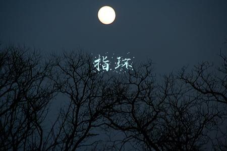 指环