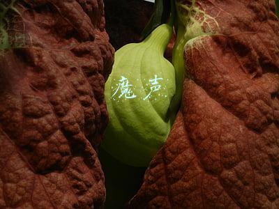 魔声