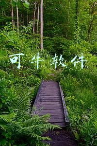 可牛软件