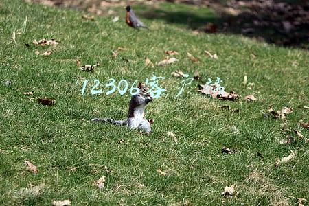 铁路12306电脑客户端(旅客请注意！12306这个功能延长至180天了)