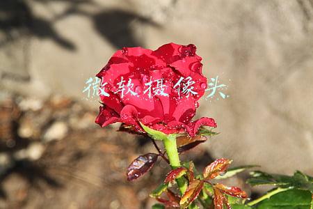 微软摄像头