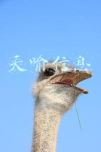 天喻信息