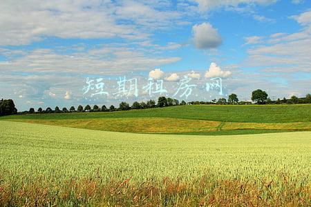 短期租房网