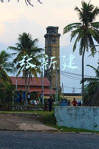 张新建