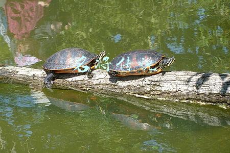 名将传说