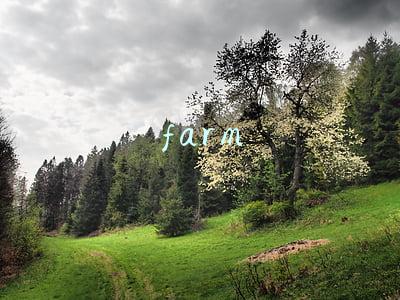 farming(英语中“刷单、刷信誉”怎么说？)
