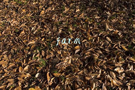 farm