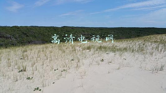 高清电视网